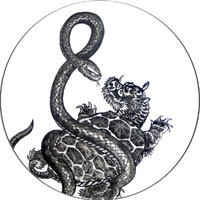 Tortoise (North)