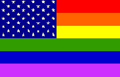 Rainbow USA Flag